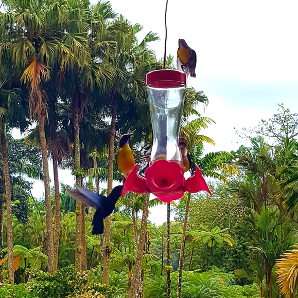 Meet your Posher, Majka - Picture 4 of 10